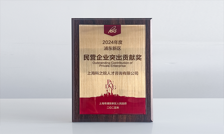 人力资源供应商尊龙凯时国际凭借人才服务与在区域经济开展中的卓越表现荣膺2024年度浦东新区民营企业奖项